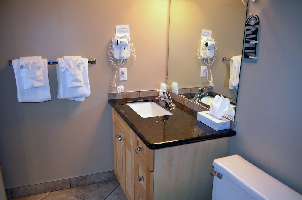 Standard Suite, Kitchen - Photo 25