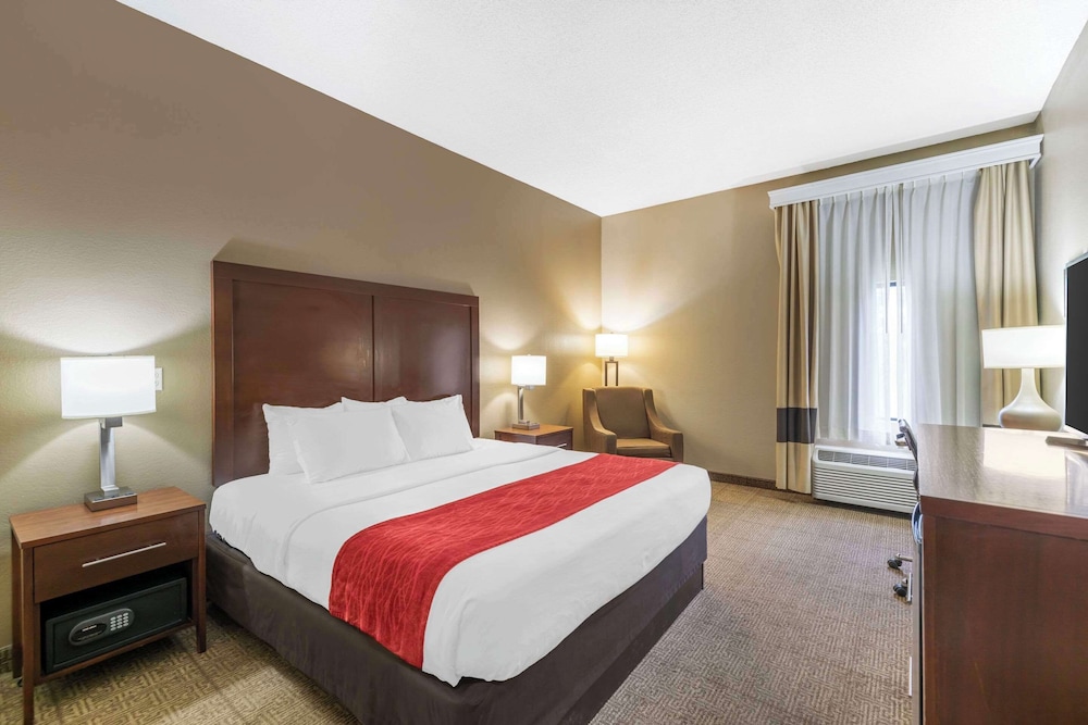 Room, 1 King Bed, Accessible, Non Smoking