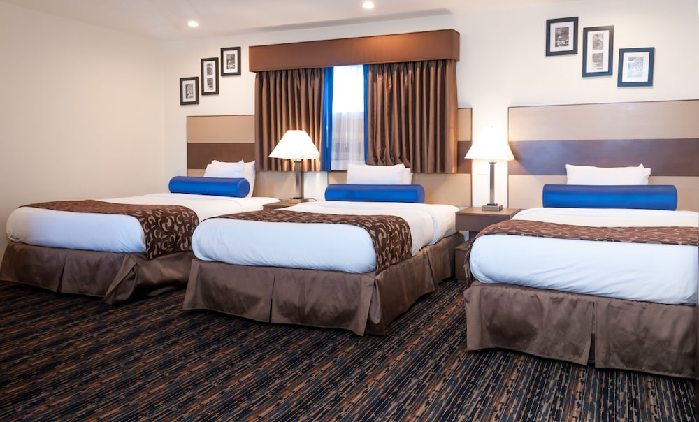 Room, Multiple Beds, Non Smoking photo 3