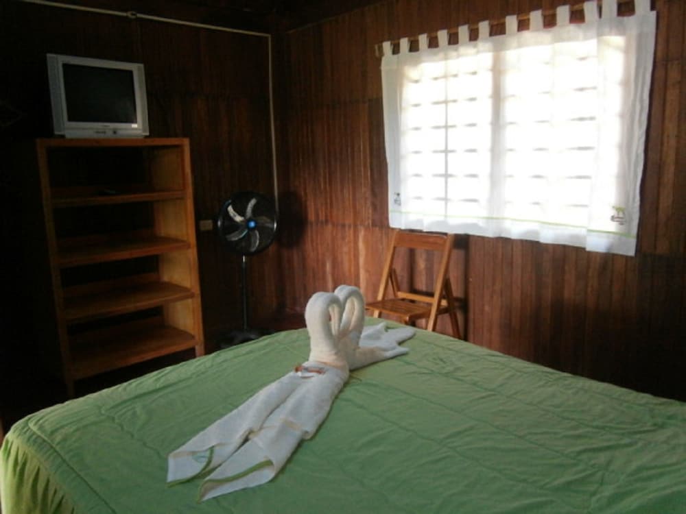 Habitacion con 1 cama individual, vistas al jardin photo 3