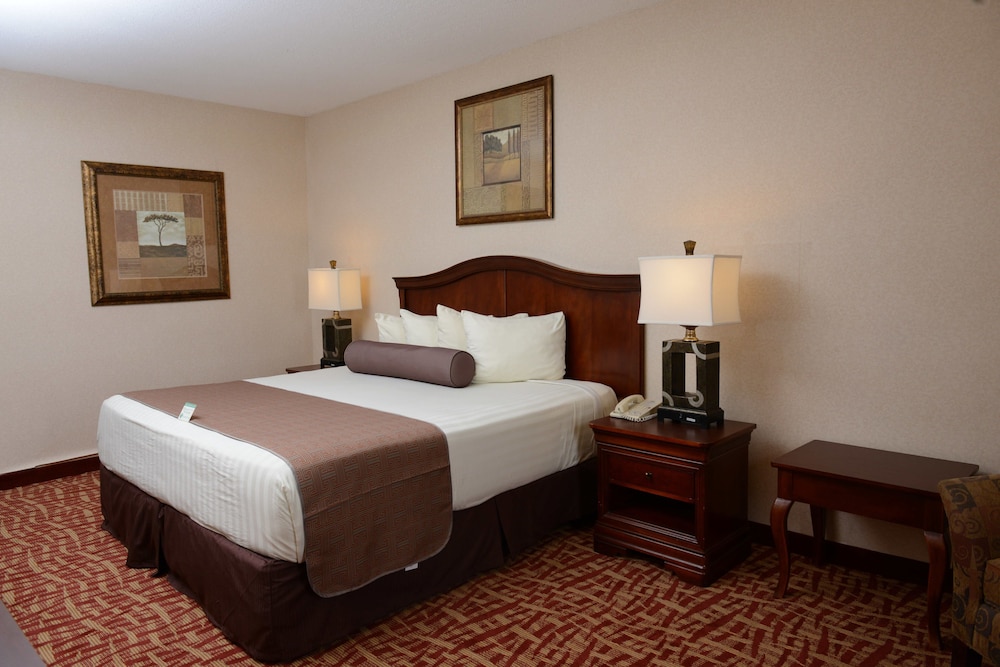Suite, 1 King Bed, Non Smoking photo 1