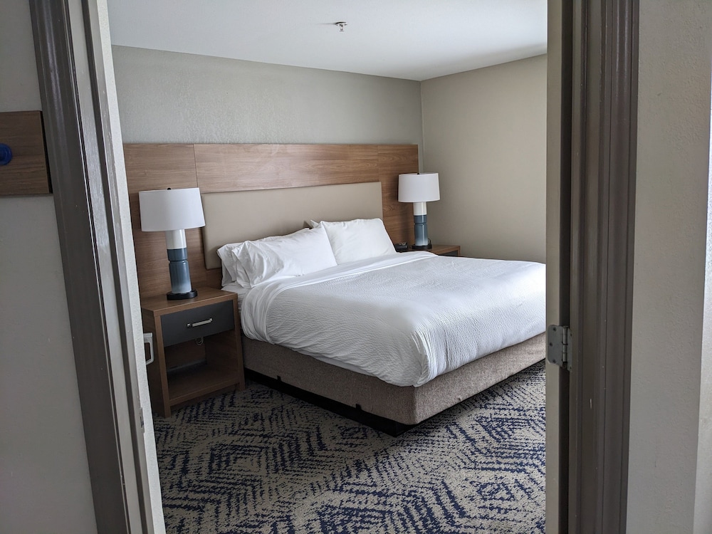Suite, 1 Bedroom, Accessible (Accessible Tub) - Photo 3