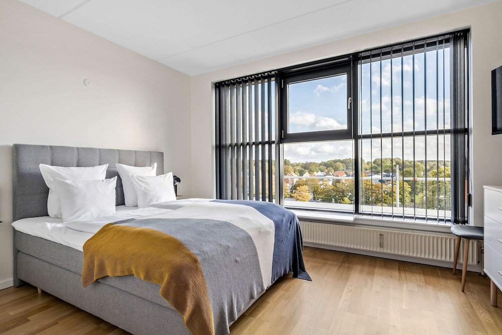 Standard Room, 1 King Bed, Non Smoking, Kitchen (with Sofabed) - Photo 2