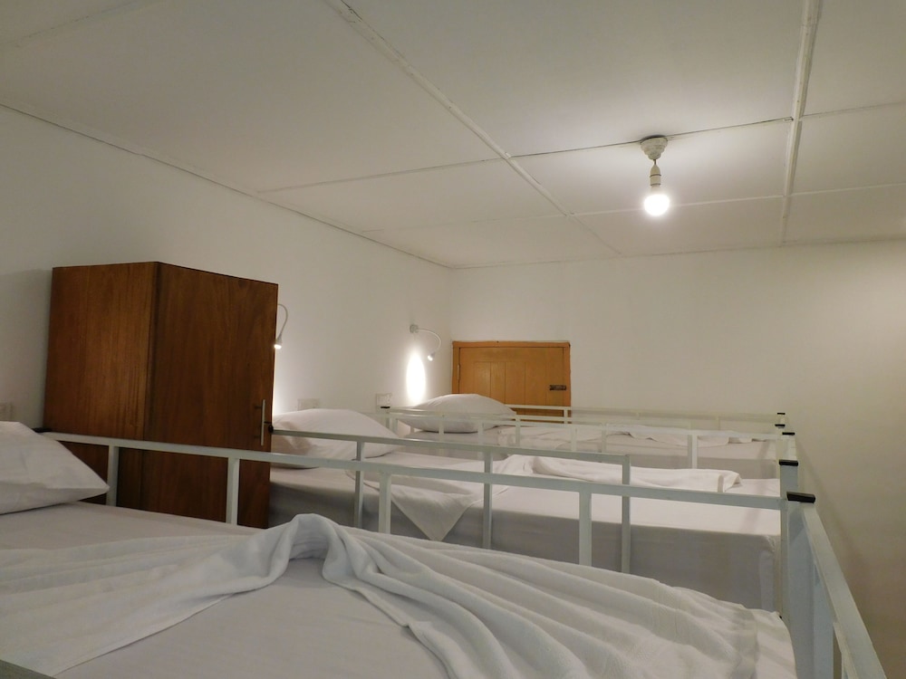 Standard Shared Dormitory photo 3