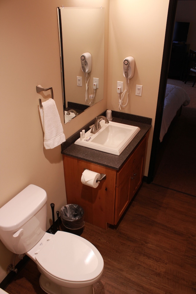 Basic Single Room, 1 Twin Bed, Refrigerator & Microwave