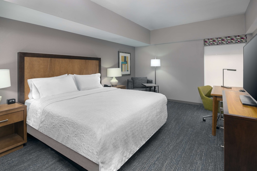 Room, 1 King Bed photo 2