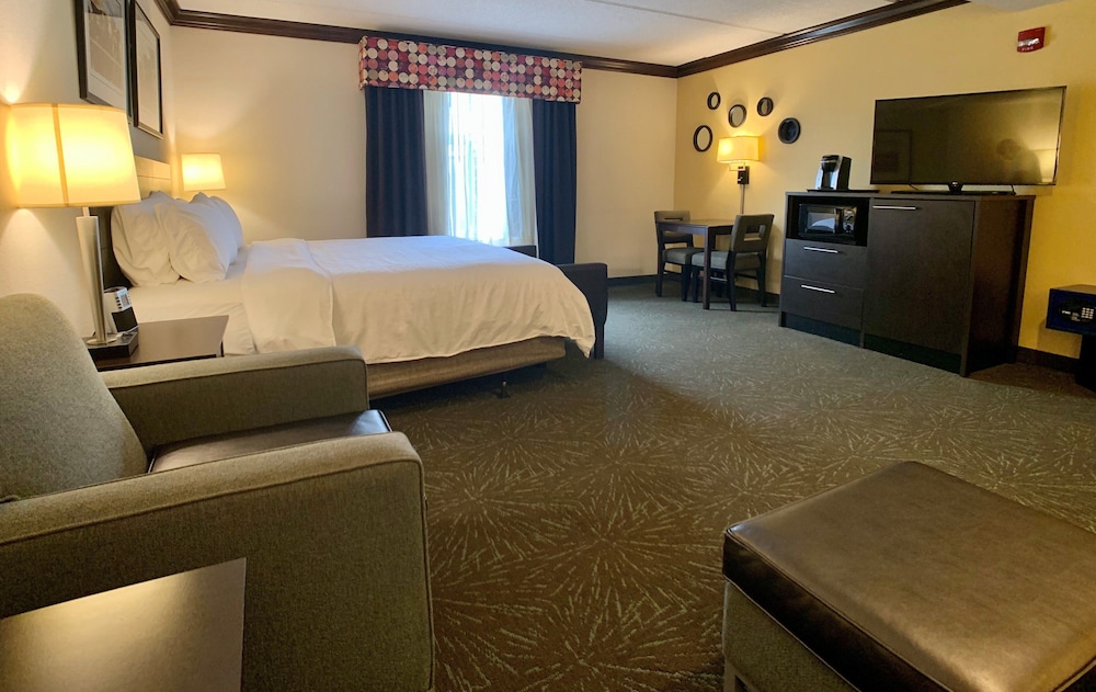 Suite, 1 King Bed, Accessible (Mobility) - Photo 1