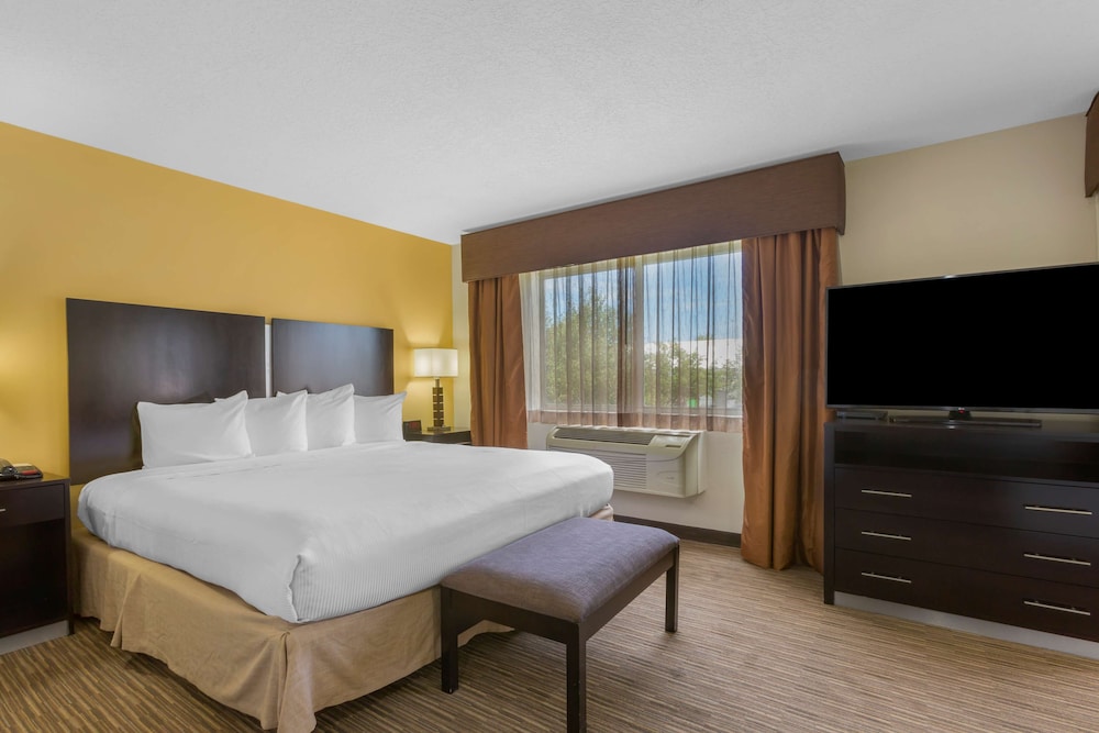 Junior Suite, 1 King Bed, Non Smoking, Refrigerator & Microwave (with Sofabed) - Photo 2