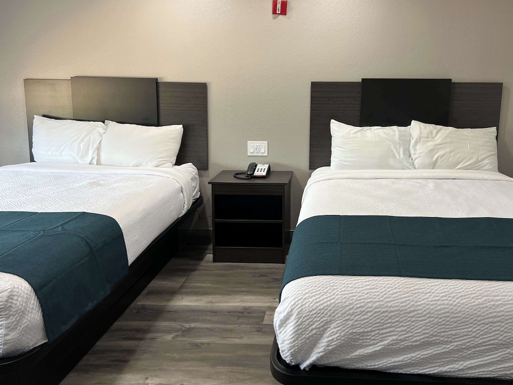 Deluxe Room, 2 Queen Beds, Non Smoking, Refrigerator & Microwave - Photo 6
