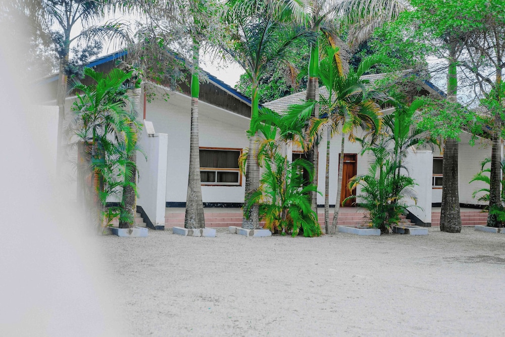 Apartment, Garden View