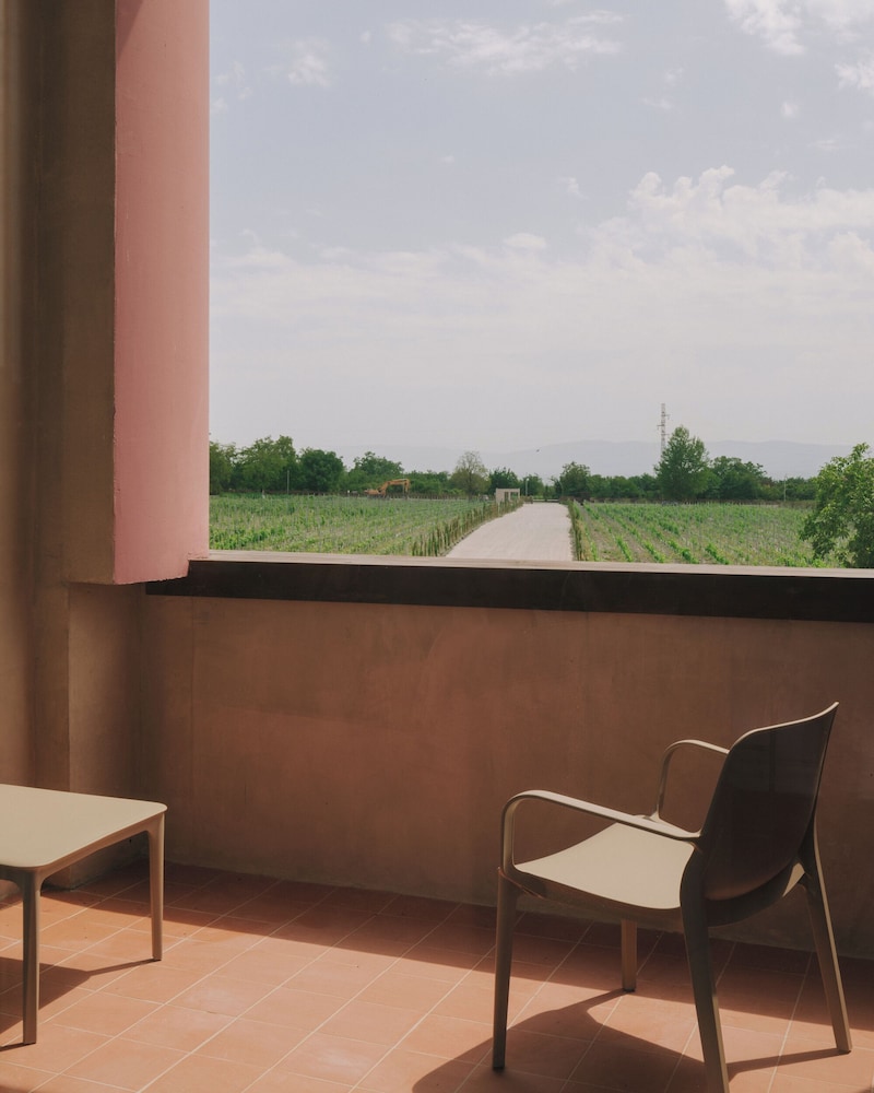 Deluxe Double or Twin Room, Vineyard View