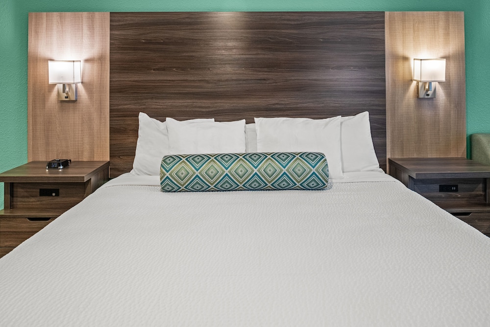 Suite, 1 King Bed with Sofa bed photo 3