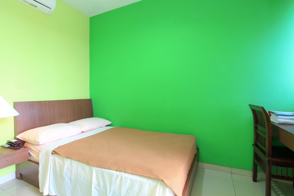 Deluxe Double Room photo 3