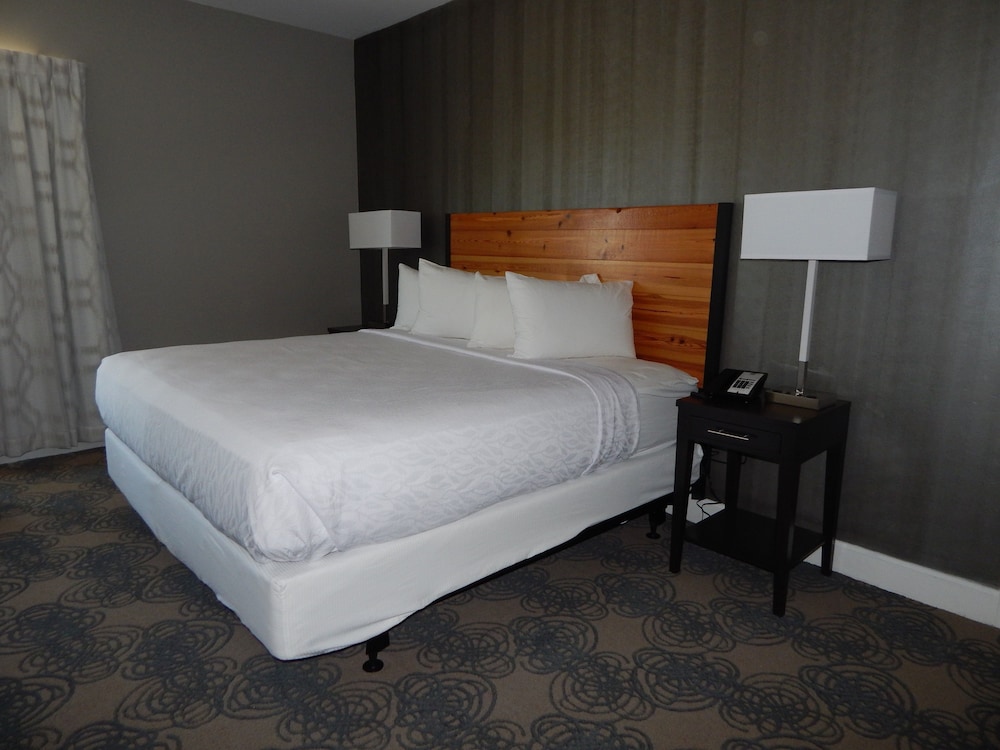 Suite, 1 King Bed, Non Smoking, Refrigerator & Microwave (Living Room;with Sofabed) - Photo 2