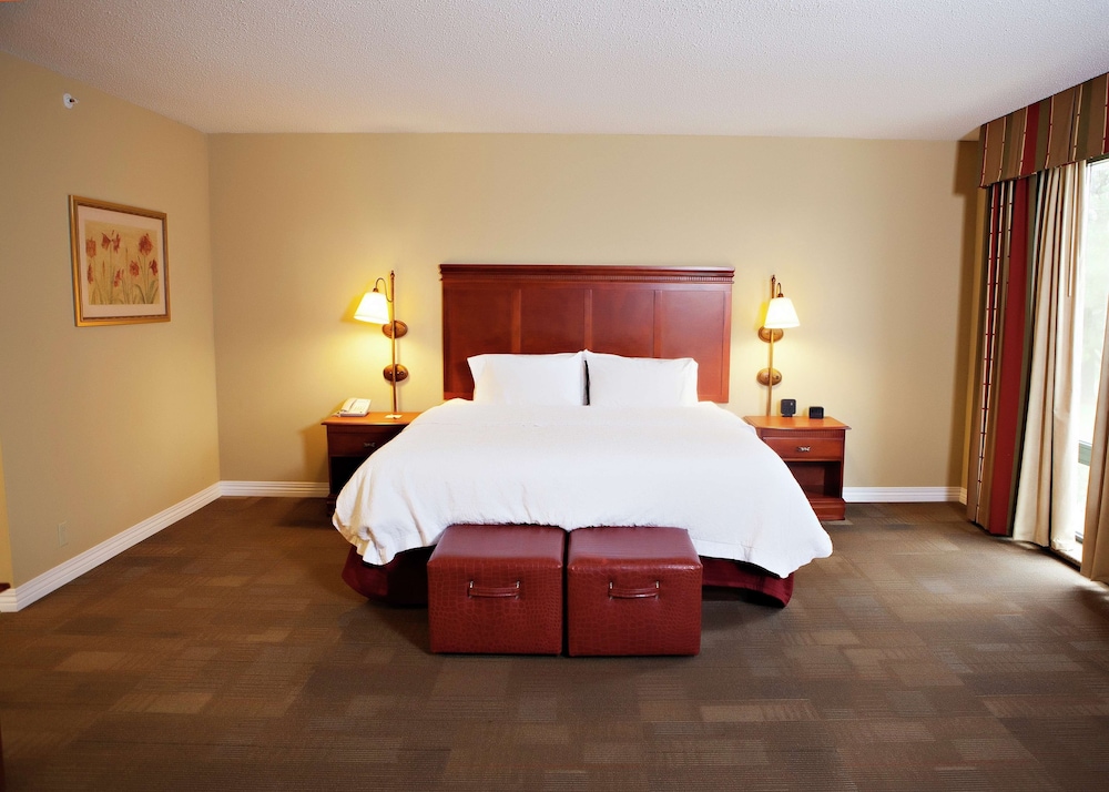 Suite, 1 King Bed, Non Smoking - Photo 2