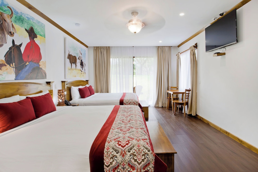 Superior Suite, Mountain View photo 3
