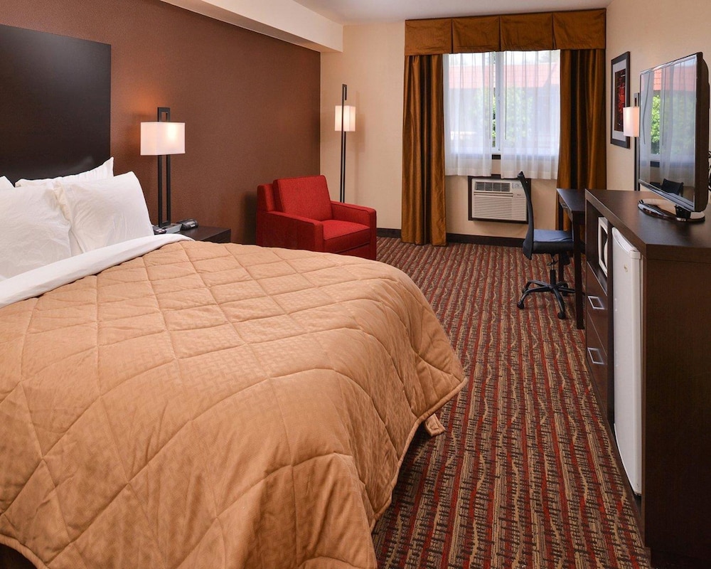 Suite, 1 King Bed (1 Bedroom) photo 1