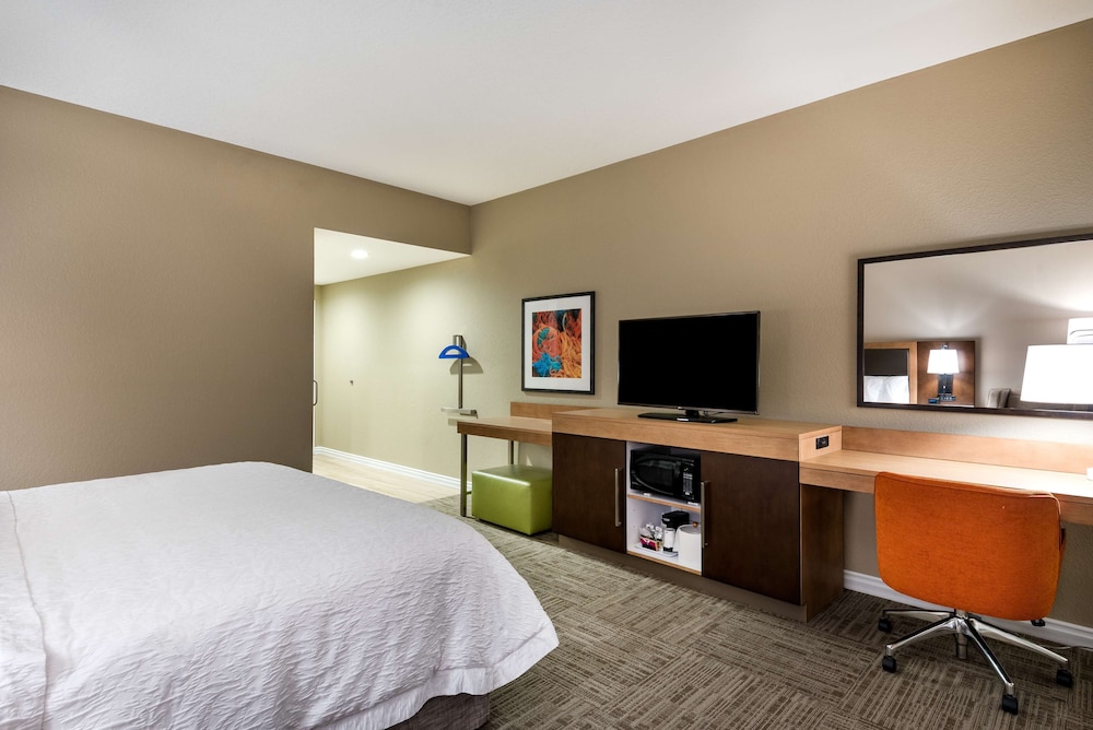 Room, 1 King Bed with Sofa bed, Accessible (Mobility & Hearing, Roll-In Shower) photo 3