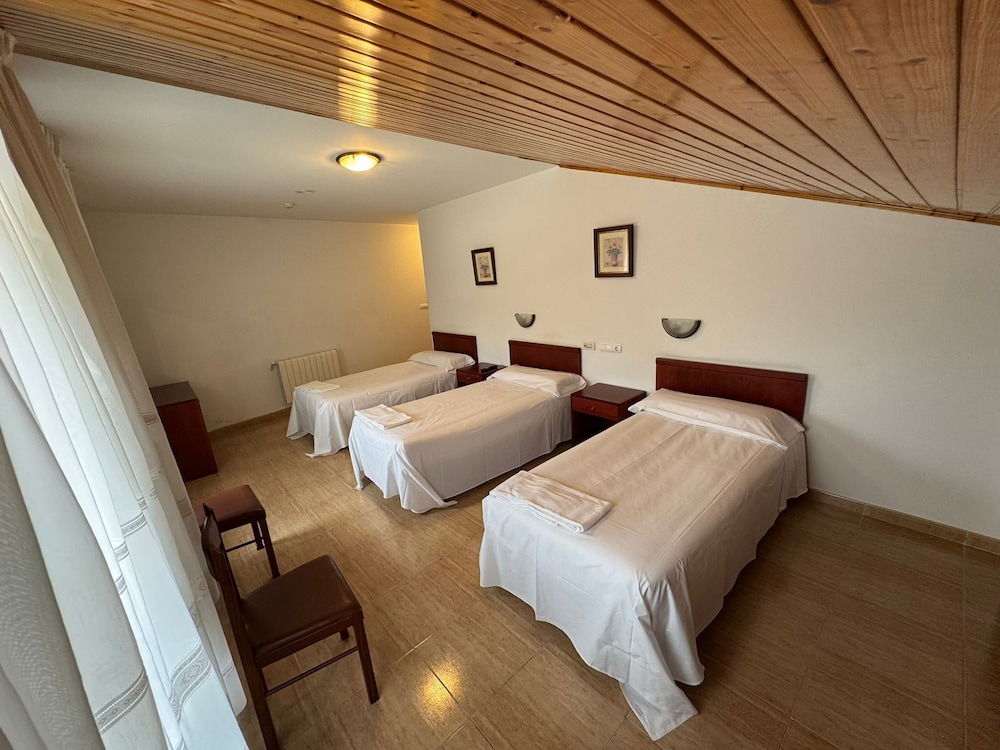 Basic Twin Room