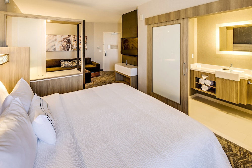 Suite, 1 King Bed with Sofa bed