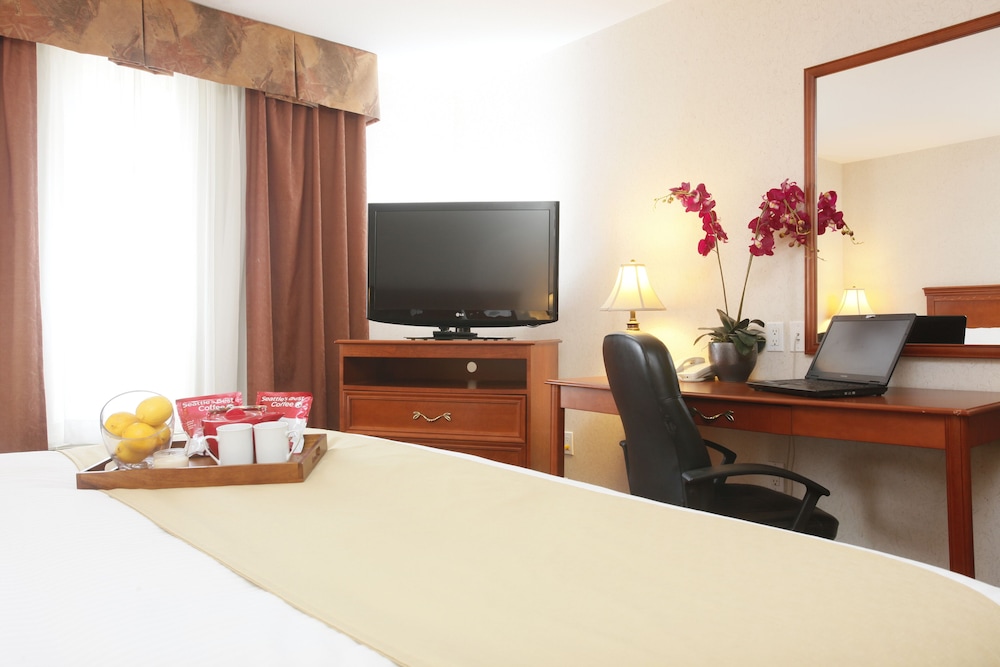 Comfort Room, 1 King Bed, Accessible photo 1
