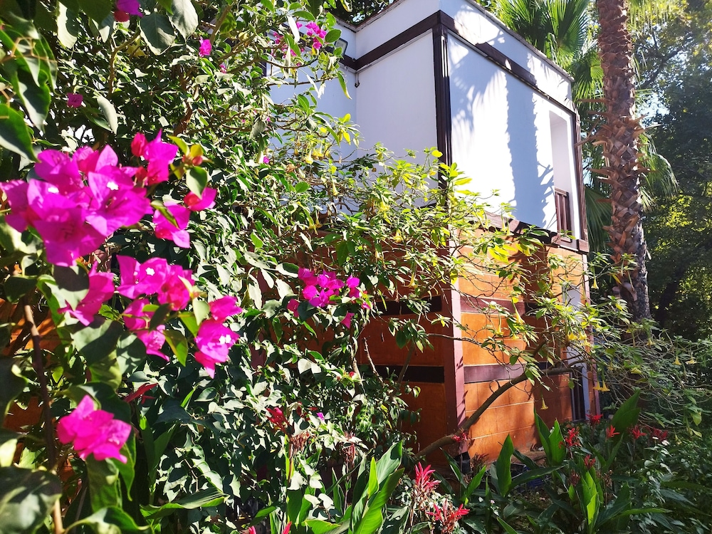 Superior Double Room, 1 King Bed with Sofa bed, Balcony, Garden View photo 1