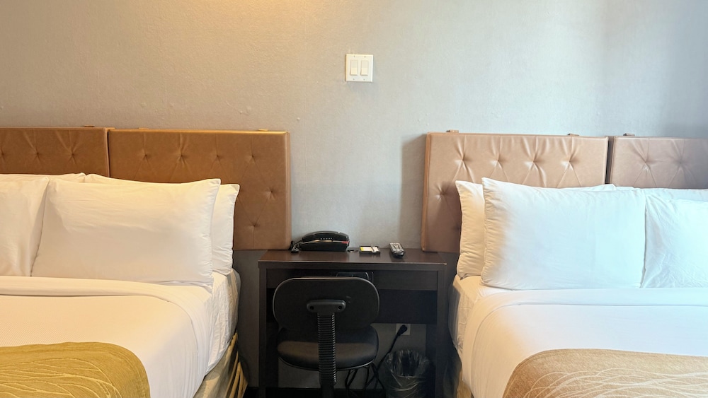 Classic Double Room Single Use, Non Smoking