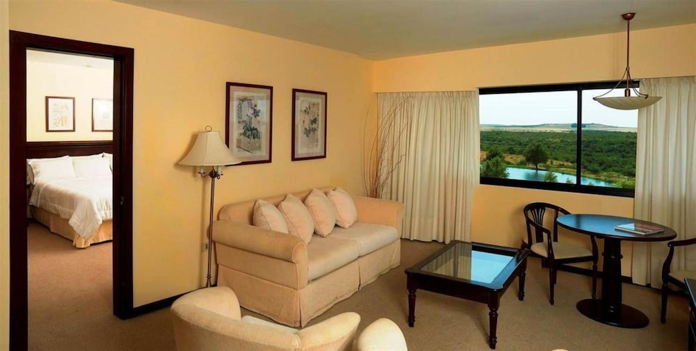 Suite, 1 King Bed photo 2