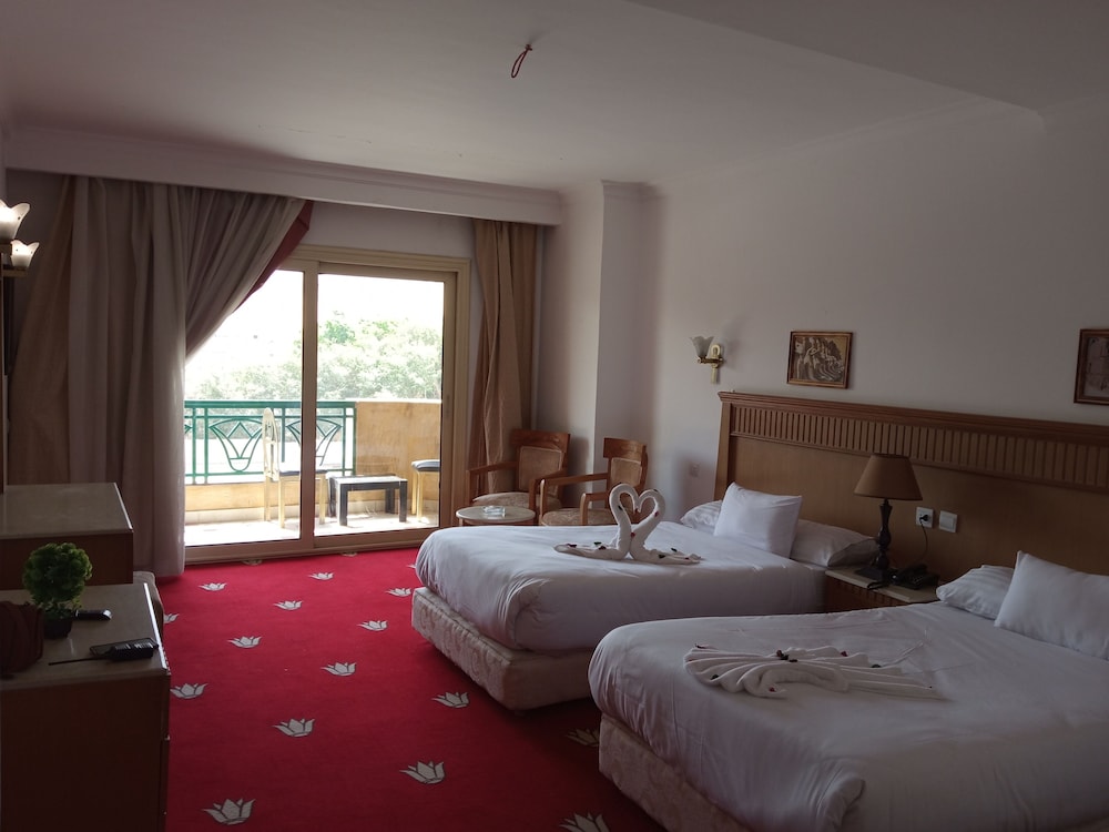 Superior Single Room Pyramids View
