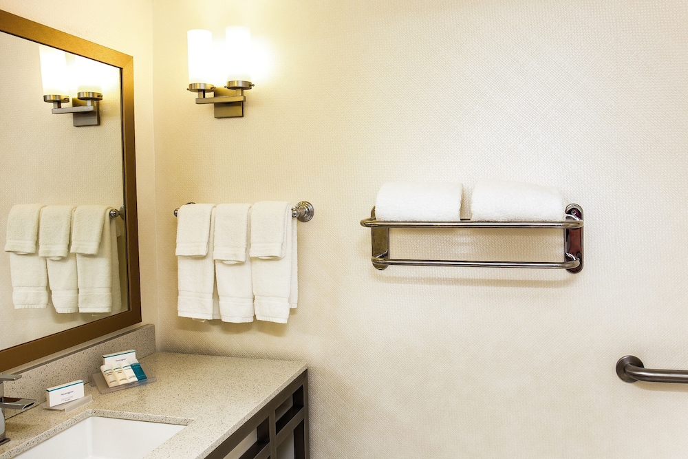Suite, 1 Bedroom, Accessible (Roll-in Shower) - Photo 4