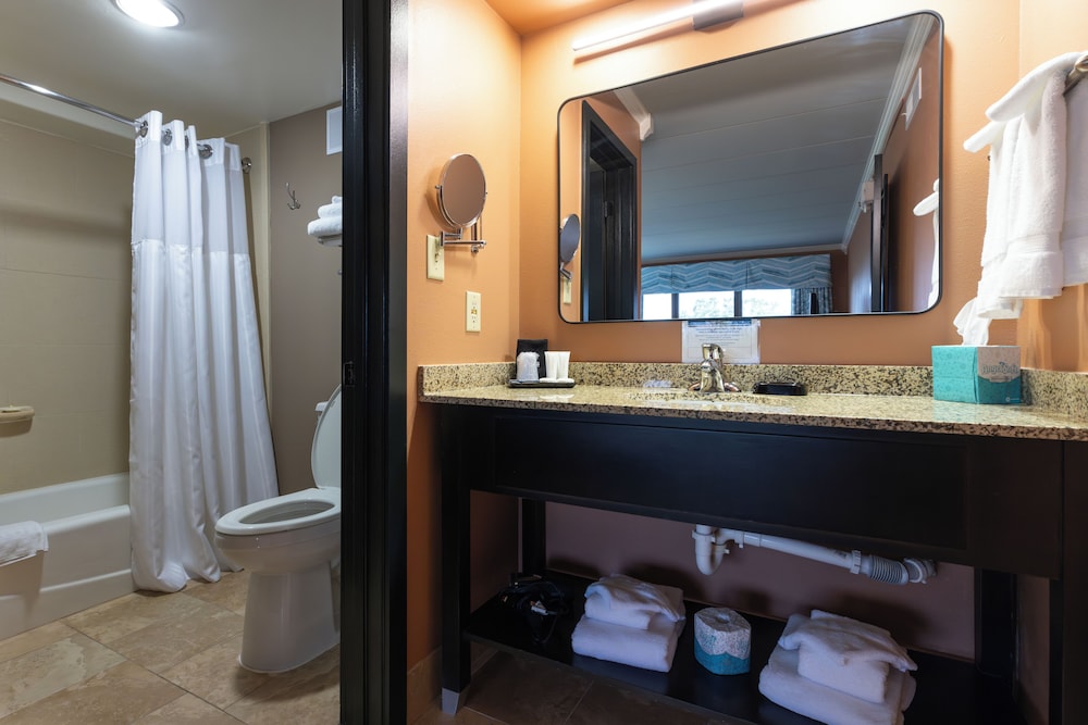 Standard Suite, 1 King Bed with Sofa bed, Park View photo 3