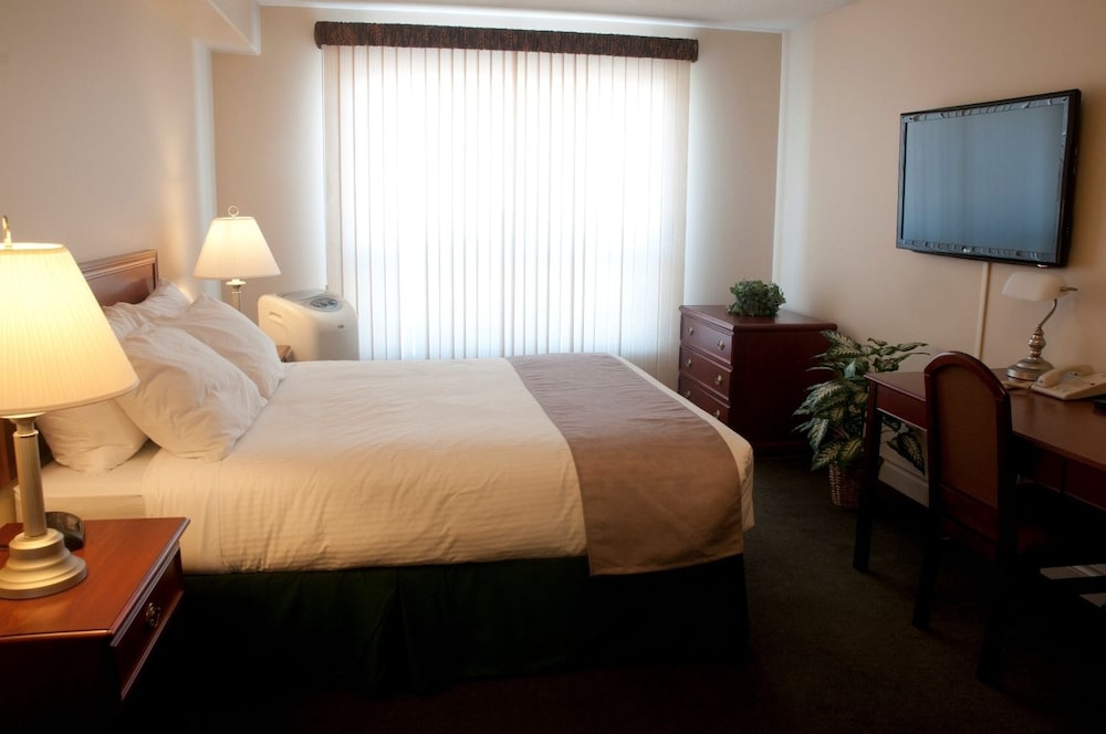Junior Suite photo 2