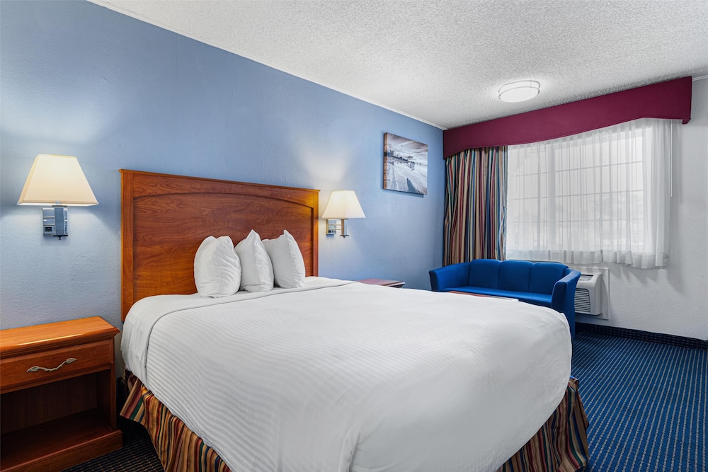Standard Room, 1 Queen Bed, Accessible, Refrigerator & Microwave (with Single Sofabed) - Photo 1