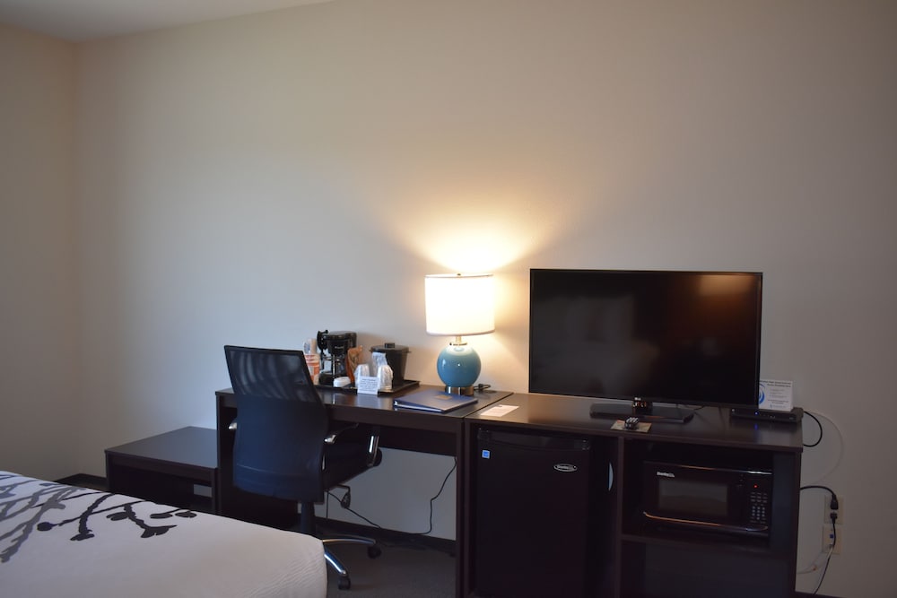 Standard Room, 1 King Bed, Non Smoking photo 2