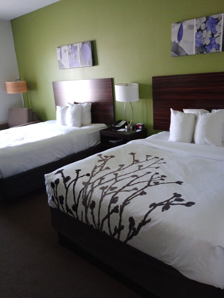 Room, 2 Queen Beds, Non Smoking (Pet Friendly) - Photo 3