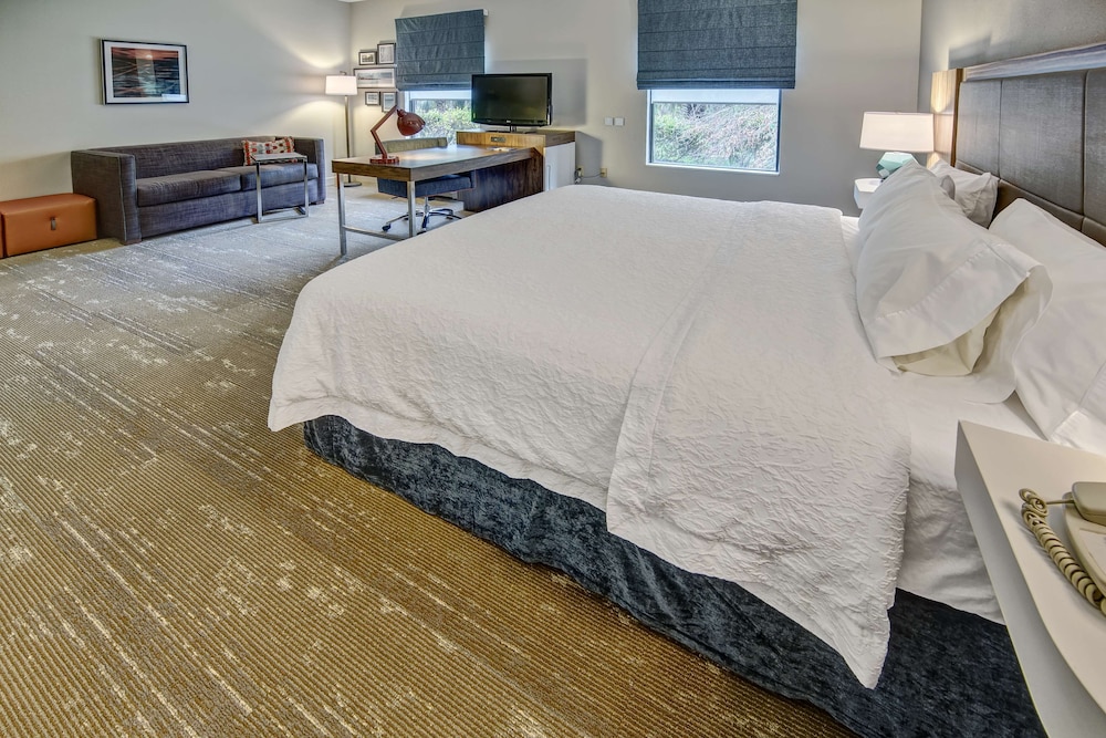 Studio, 1 King Bed, Accessible, Non Smoking photo 3
