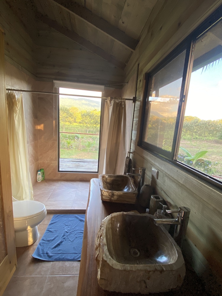 Deluxe Apartment, 1 Queen Bed with Sofa bed, Non Smoking, Garden View photo 2