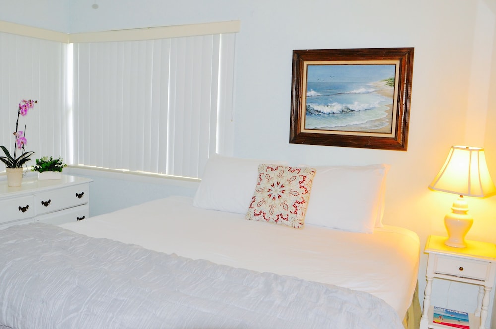 Basic Apartment, 1 King Bed with Sofa bed