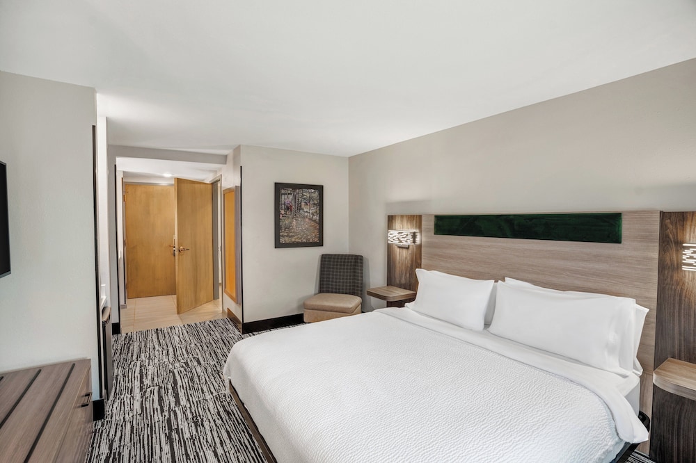 Suite, 1 King Bed, Accessible (Accessible Tub) - Photo 2