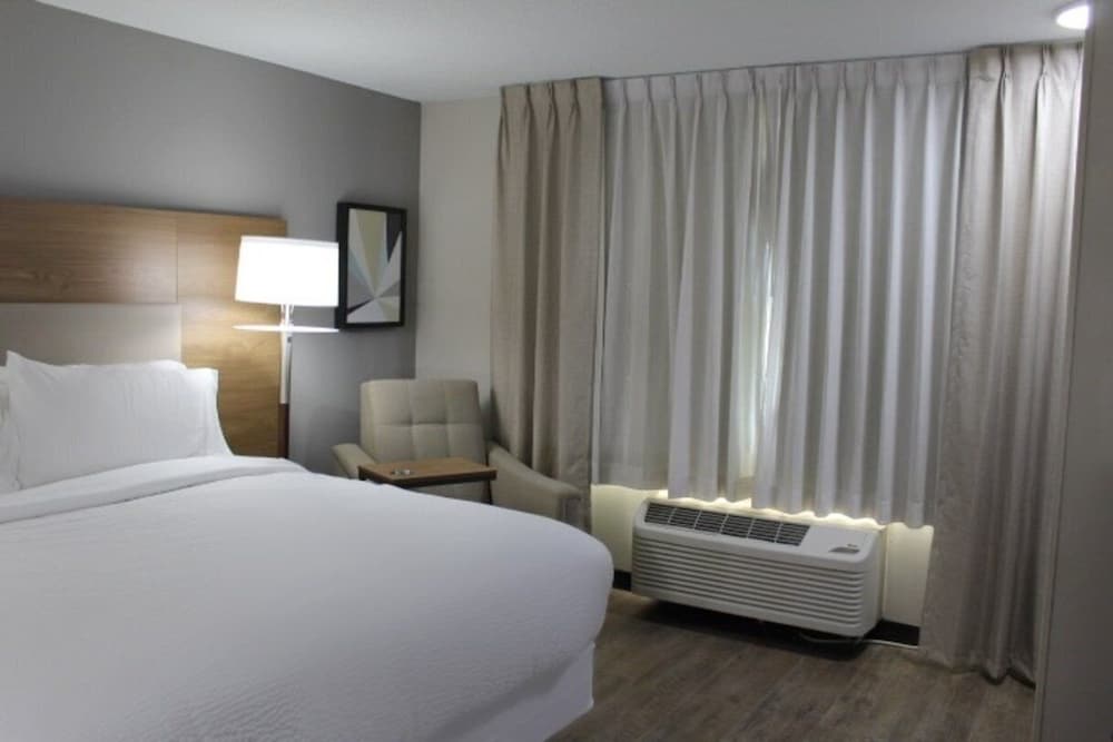 Studio Suite, 1 Queen Bed - Photo 3