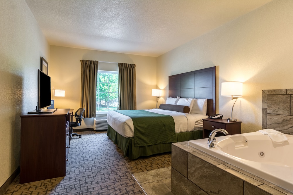 Suite, 1 King Bed, Non Smoking photo 2