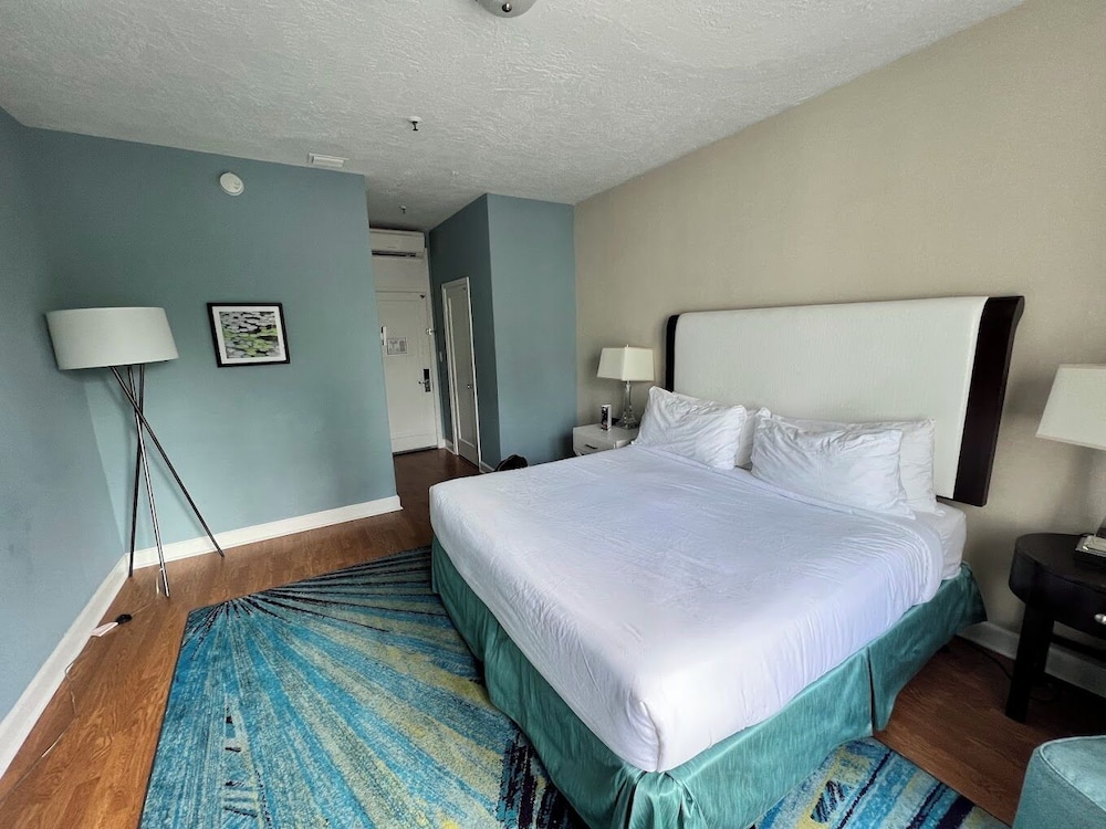 Basic Single Room