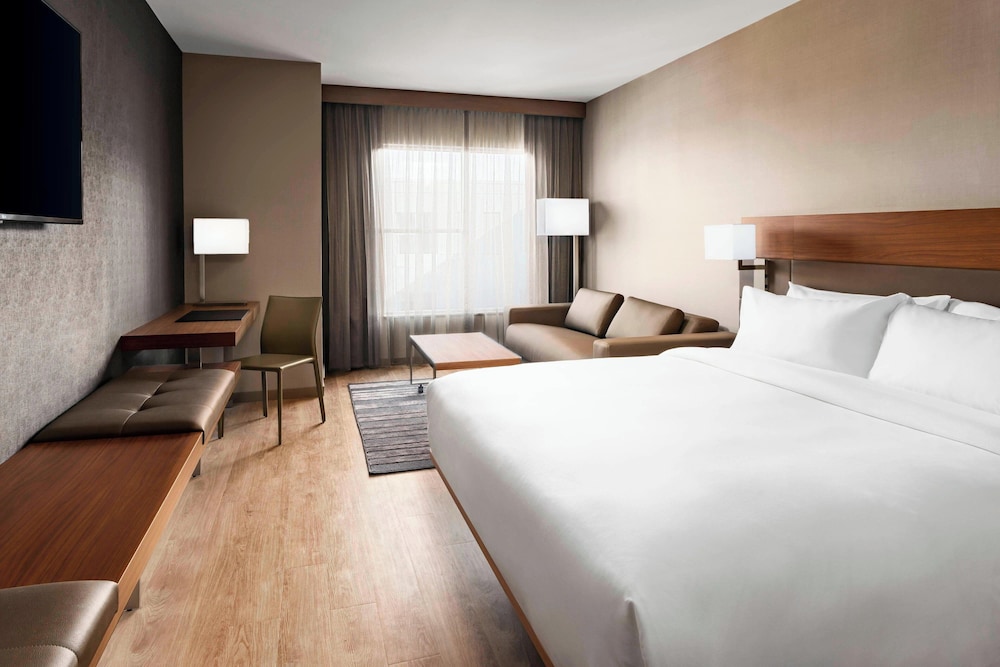 Room, 1 King Bed with Sofa bed (Mobility Accessible, Tub)