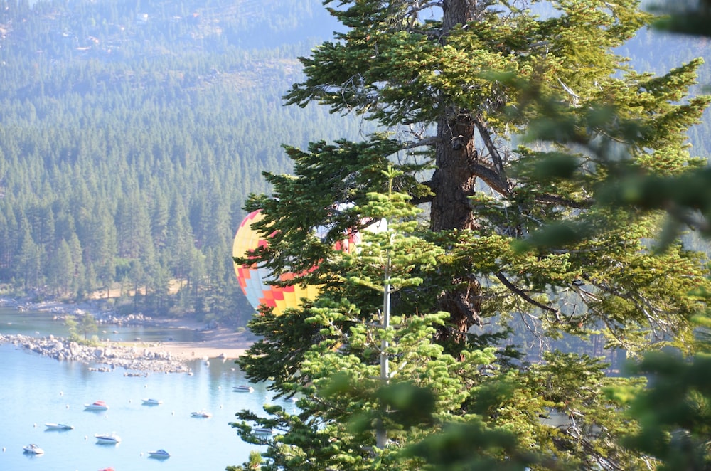 Zephyr Cove Family Suite photo 1