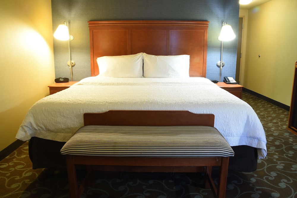 Room, 1 King Bed, Accessible, Non Smoking (Hearing, Shower Only) - Photo 3