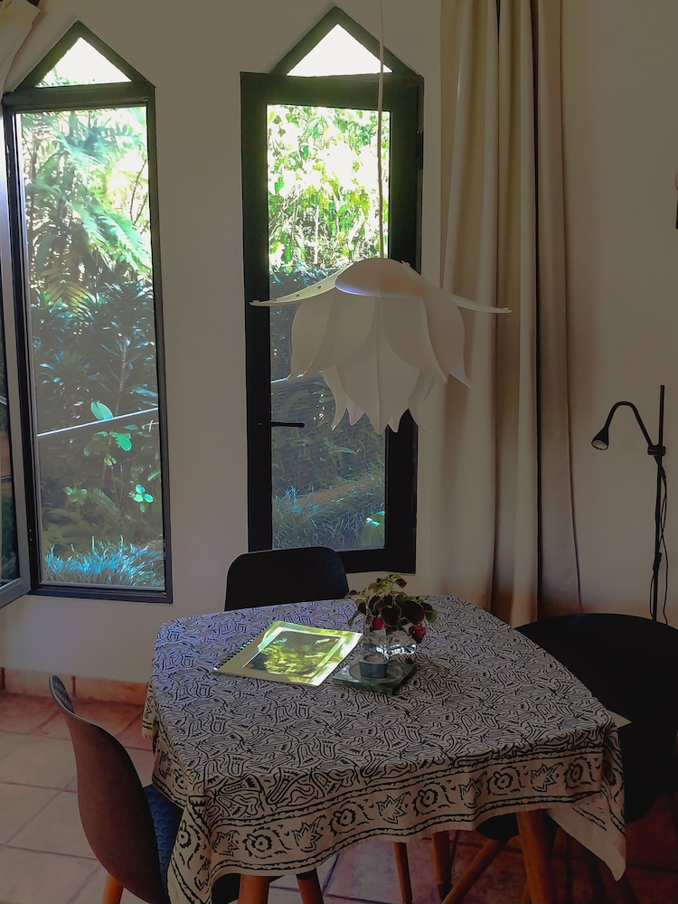 Lower Suite photo 3