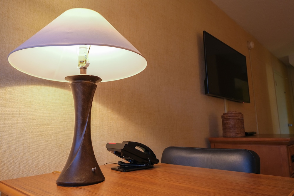 City Room, City View