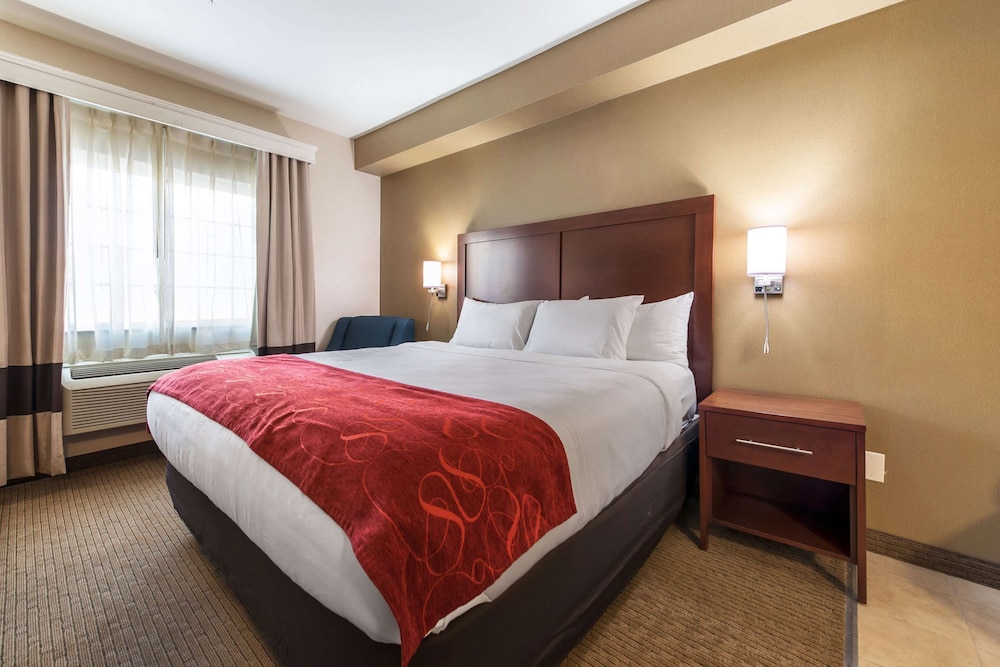 Deluxe Room, 1 King Bed, Non Smoking, Jetted Tub - Photo 4