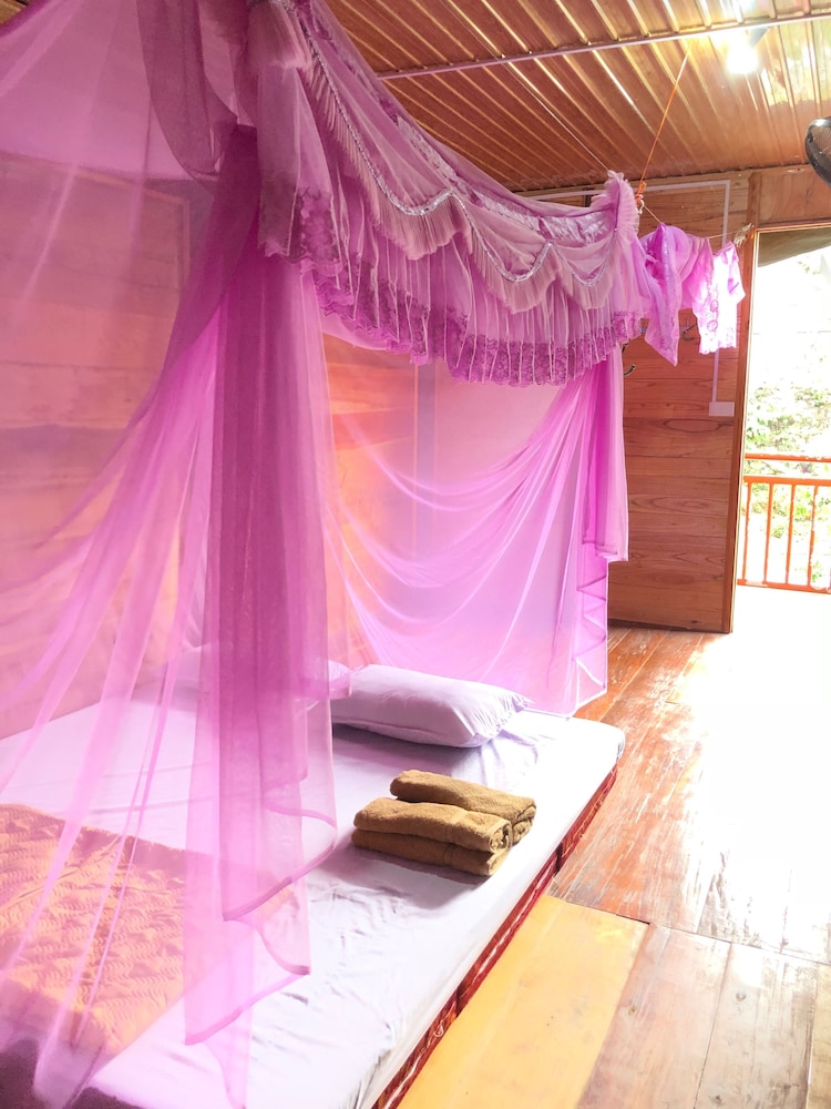 Bed in 20-bed Mixed Dormitory photo 3