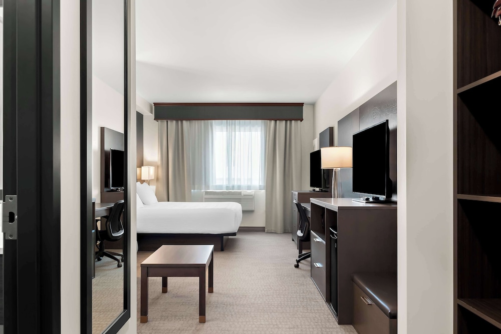 Suite, 1 King Bed, Refrigerator & Microwave (Shower Only;with Sofabed) - Photo 6